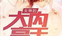 小说大内高手,揭秘大内高手的传奇人生