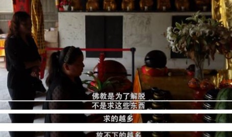 网瘾少年粉丝2000万年入过亿 ,新浪微博文娱八卦营销号被封的有哪些 ,医保幼常识 山东医保亲情账户跳级!同户口同宗人免上传原料