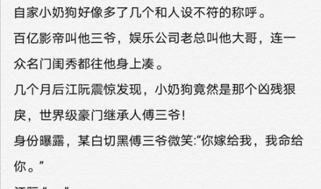 沈先生心动日记全文免费阅读,从沉默寡言到深情相守