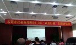 东莞市社保局,全方位解读社保政策与服务