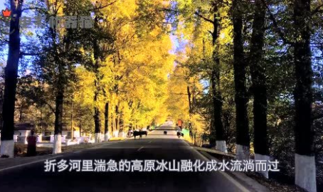 娱乐吃瓜君5,揭秘娱乐圈最新热点，带你领略明星幕后故事
