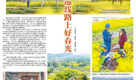 《亮报》视觉版合辑（2025年3~4月）？阳春三月指的是几月