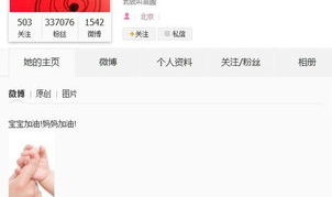 大陆娱乐网站,多元化内容与互动体验的汇聚之地