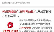 郑州百度推广,助力企业腾飞，开启数字营销新时代