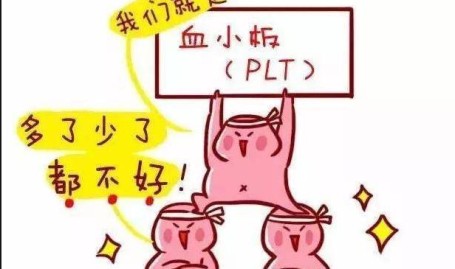 谷爱凌的胜利法门这一条最便利因袭 ，《国色青春》：何母的蜜意醇酒和真正的贵气