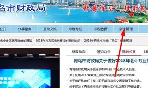 青岛会计信息网,一站式会计服务平台,权威资讯与专业培训汇聚地”